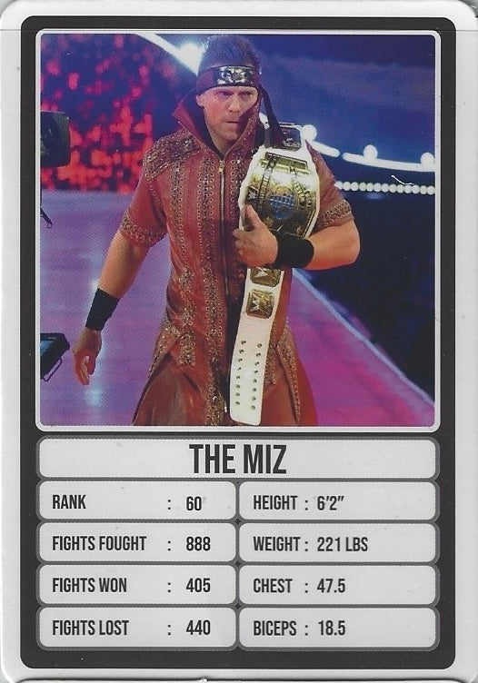 The MIZ