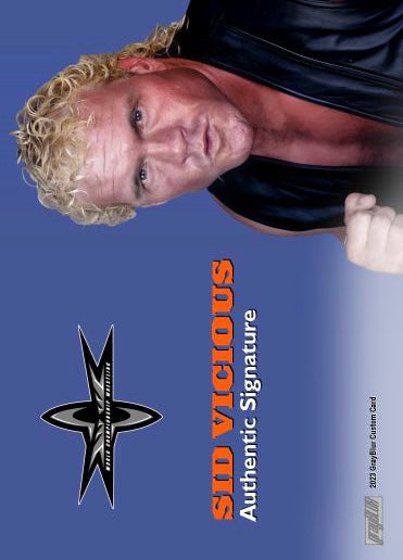 SID Vicious – WCW
