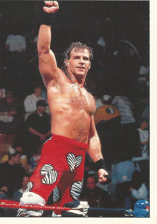WWF Panini 1995 Sticker Collection Shawn Michaels #60