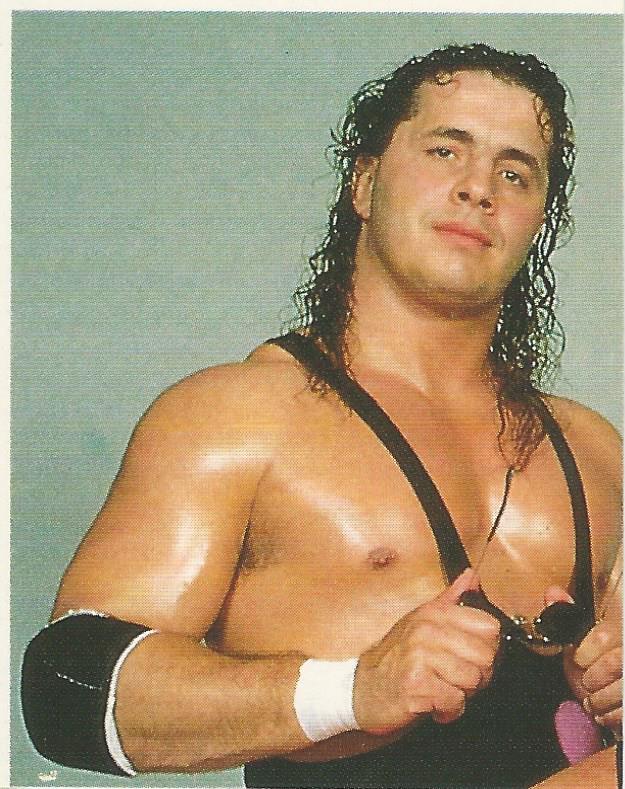 WWF Merlin Sticker Collection 1990 Hart Foundation #60