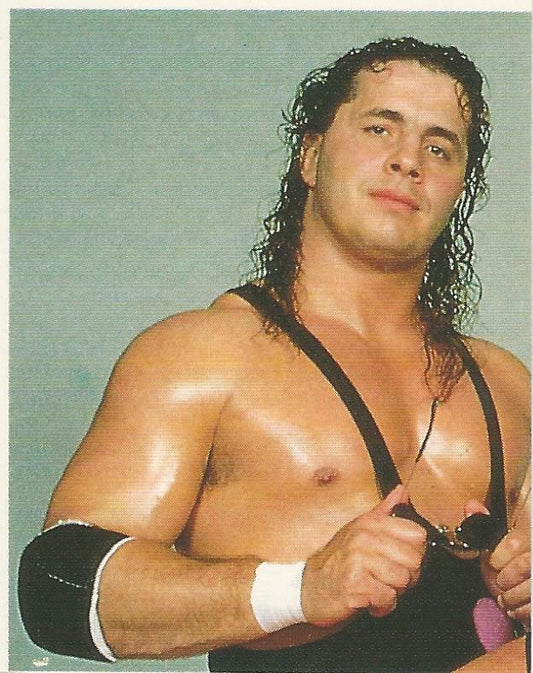 WWF Merlin Sticker Collection 1990 Hart Foundation #60