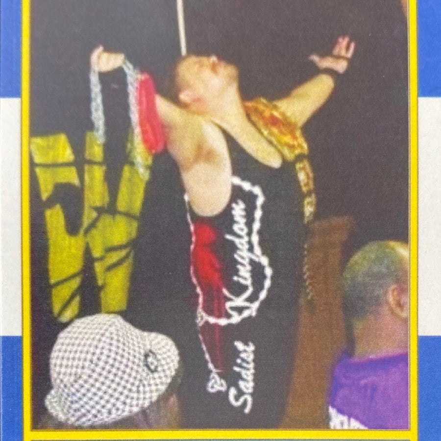 Mike Metal trading card PW Catalog