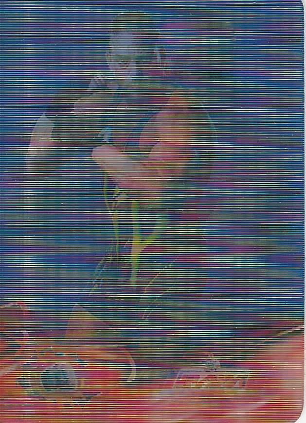 WWE Prominter Animotion 2005 Rob Van Dam #61