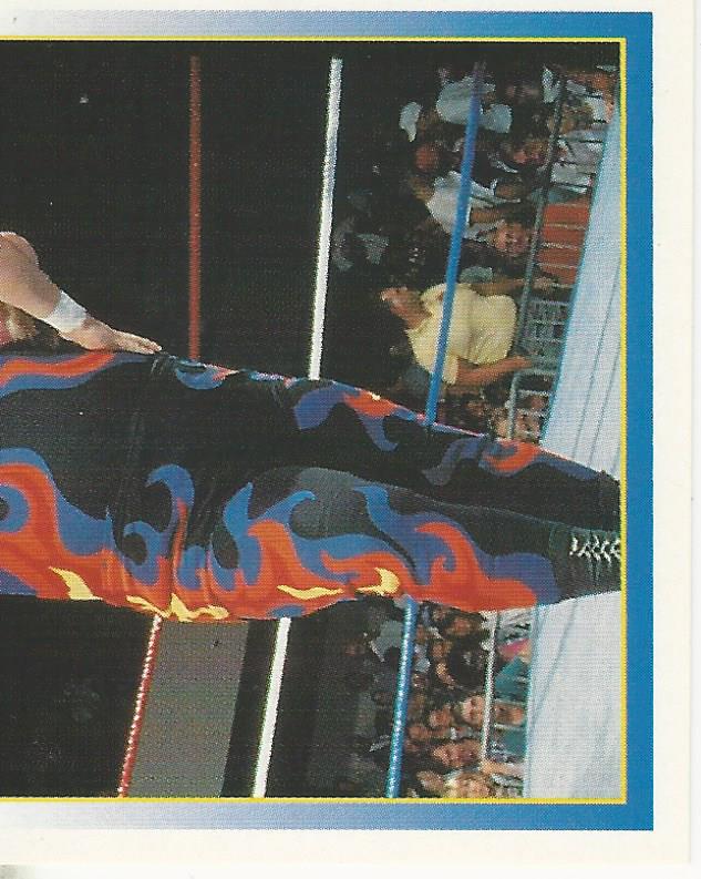 WWF Merlin Stickers 1995 Bam Bam Bigelow #61