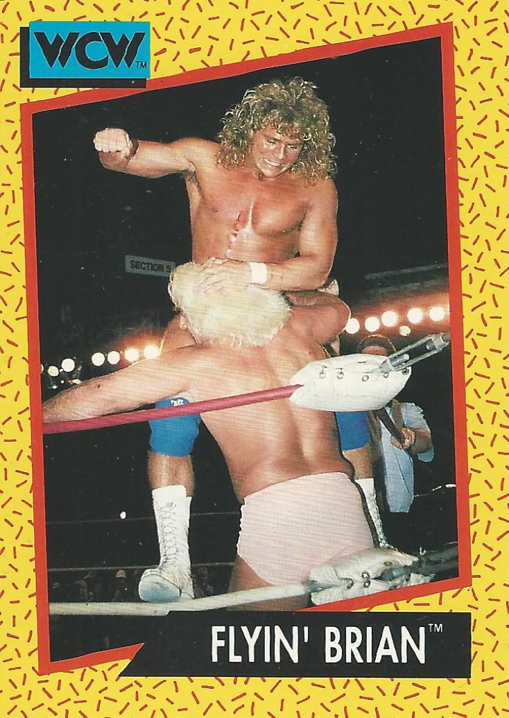 WCW Impel 1991 Brian Pillman #61