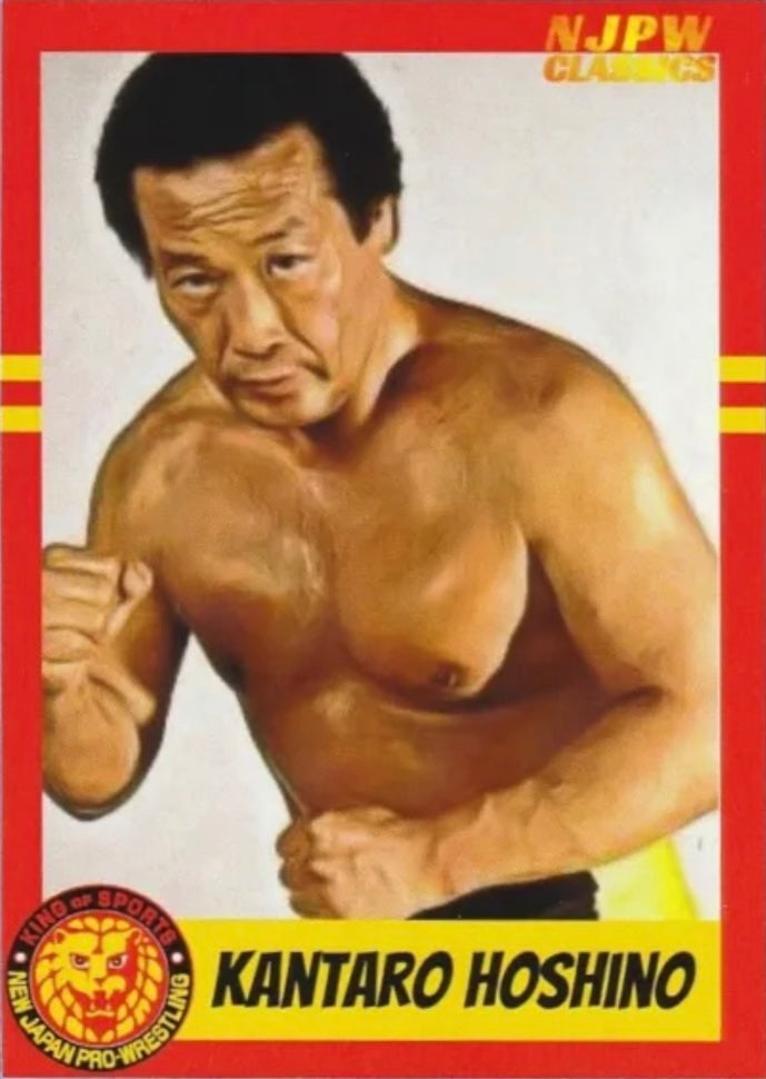 Kantaro Hoshino