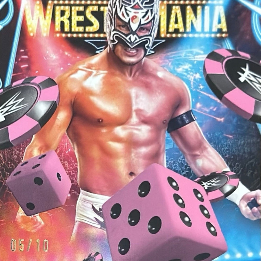 Dragon LEE trading card PW Catalog