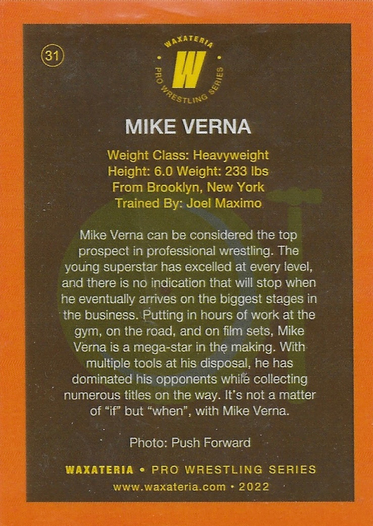 Mike Verna