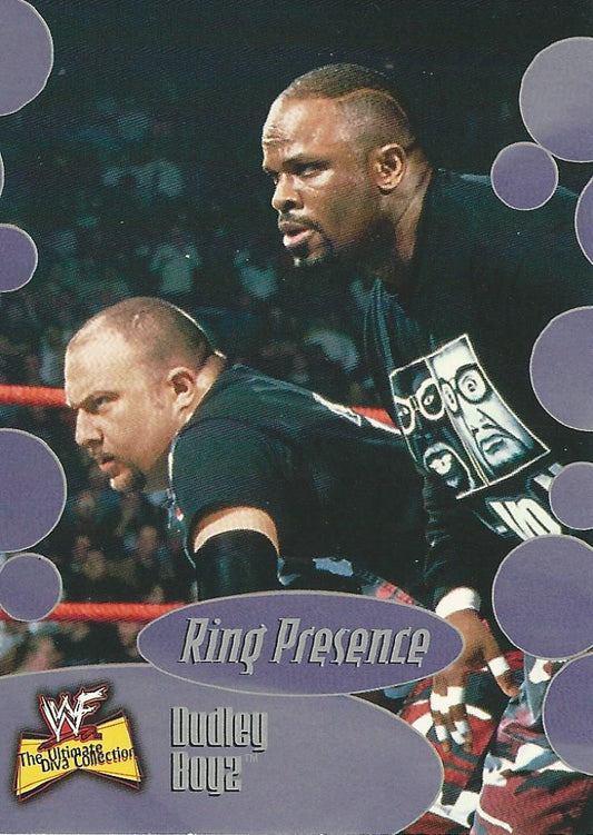 WWF Fleer Ultimate Diva Collection 2001 Dudley Boyz #62