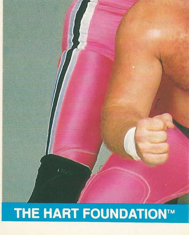 WWF Merlin Sticker Collection 1990 Hart Foundation #62