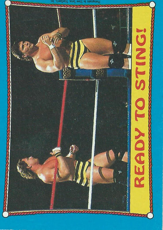Topps WWF Wrestling Cards 1987 Killer Bees #62
