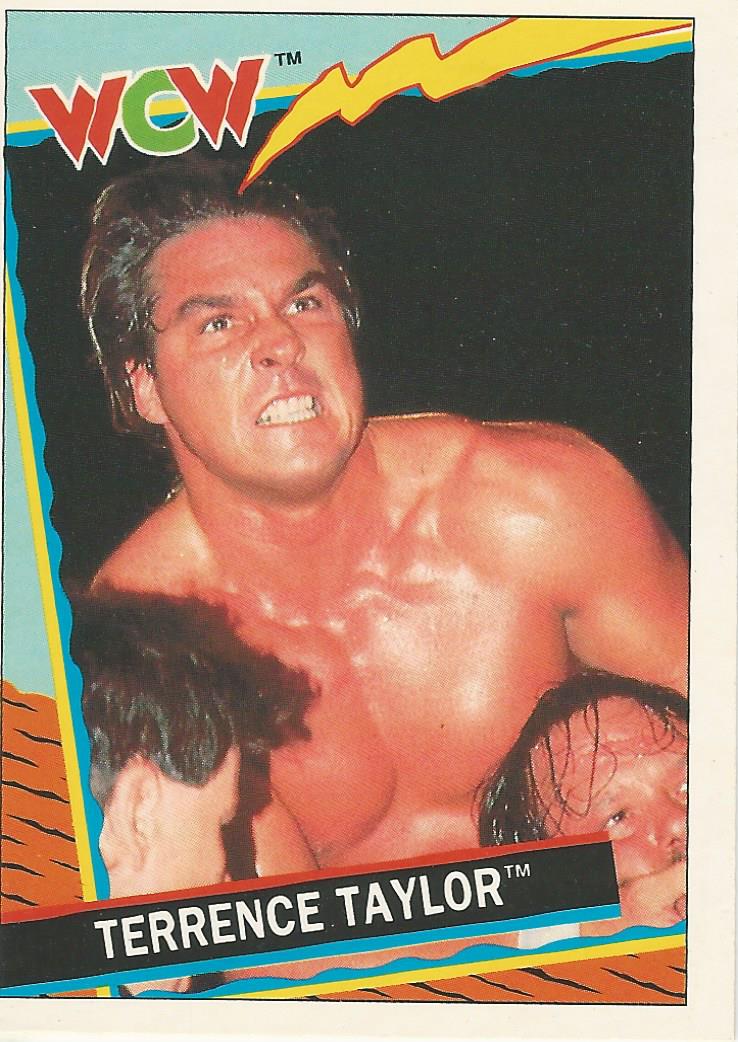 WCW Topps 1992 Terry Taylor #62