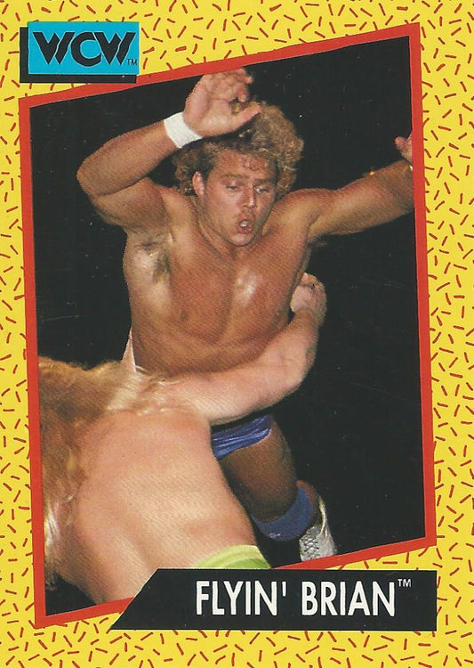 WCW Impel 1991 Brian Pillman #62