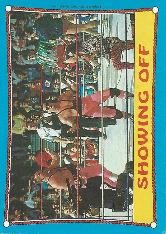 Topps WWF Wrestling Cards 1987 Bret Hart #63