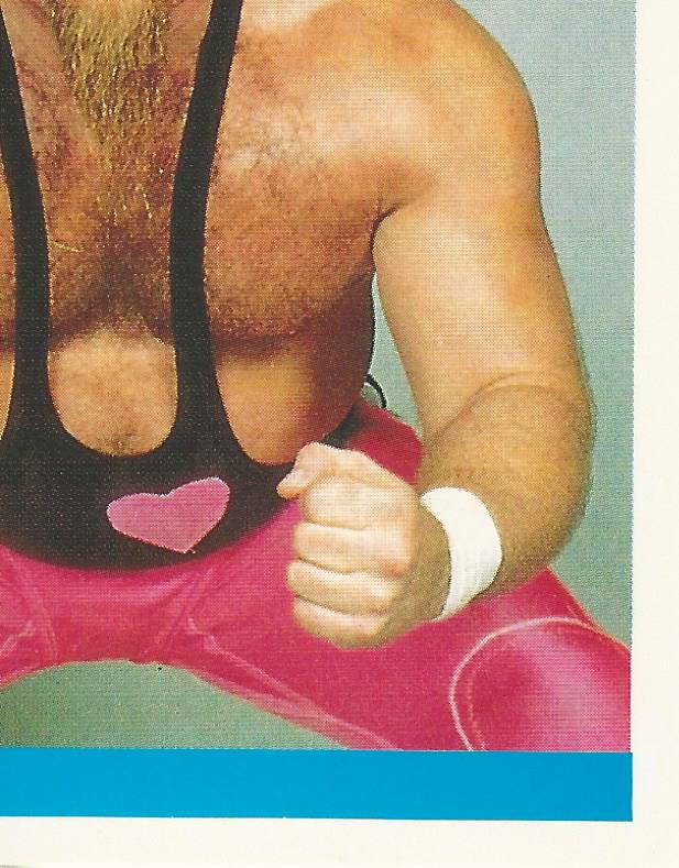 WWF Merlin Sticker Collection 1990 Hart Foundation #63
