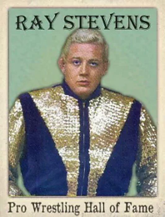 RAY Stevens trading card PW Catalog
