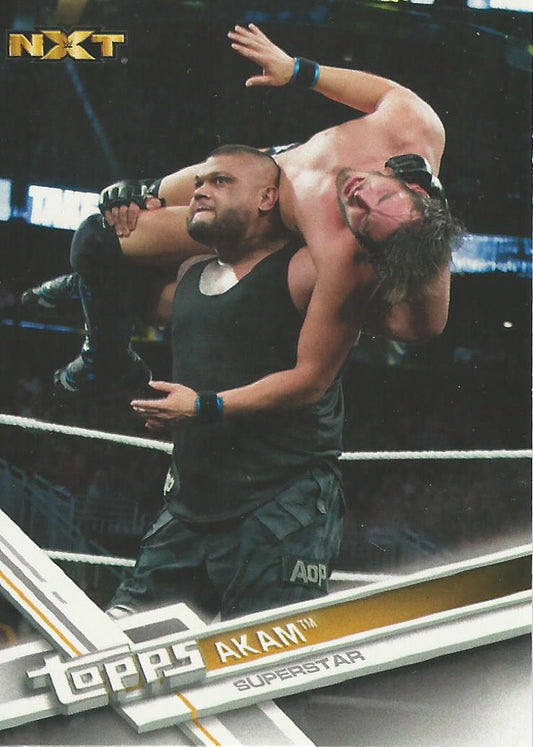 WWE Topps Then Now Forever 2017 Akam #164