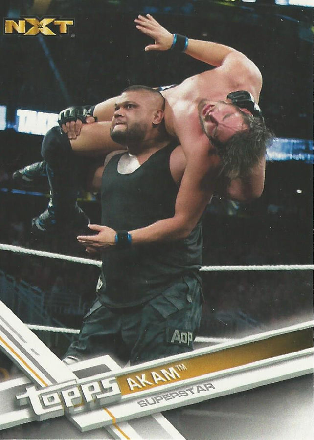 WWE Topps Then Now Forever 2017 Akam #164