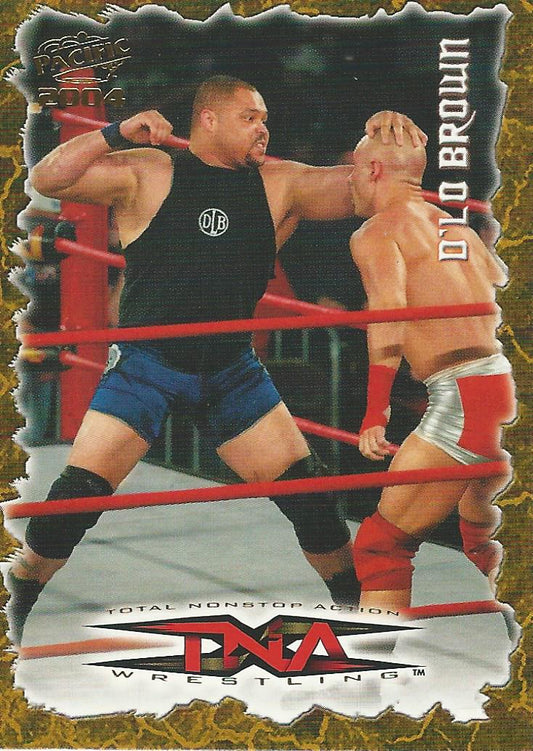 TNA Pacific 2004 D-Lo Brown #64