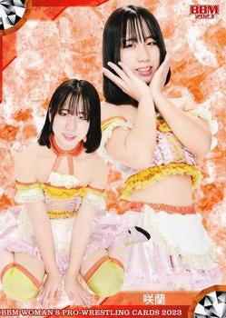 Saran trading card PW Catalog