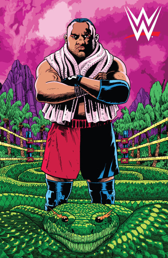 WWE Volume 19 Second Nature Comic Book by Boom! Studios Cover D Magazine PWcatalog