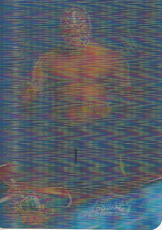WWE Prominter Animotion 2005 Rey Mysterio #65
