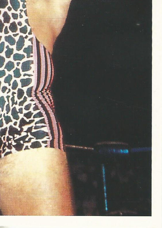 WCW Euroflash 1992 Sticker Steiner Brothers #65