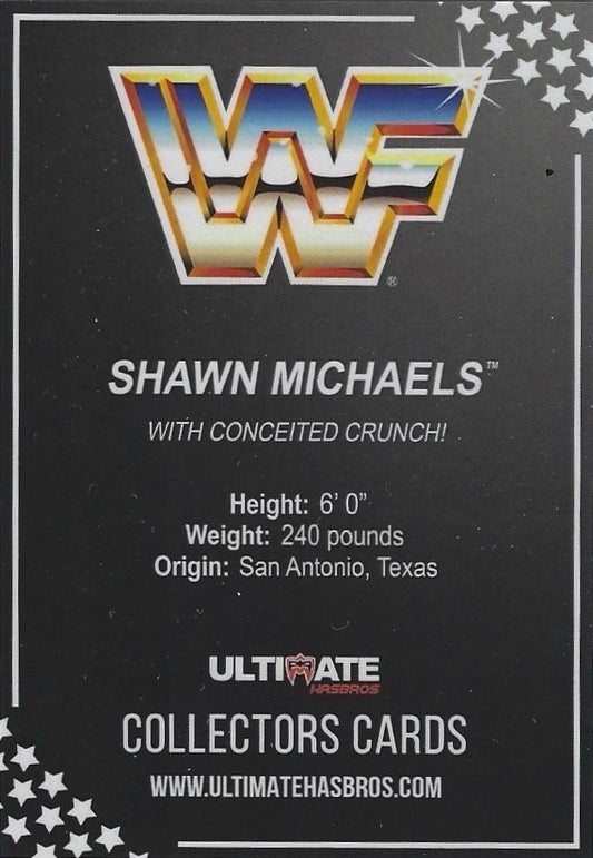 Shawn Michaels trading card PW Catalog