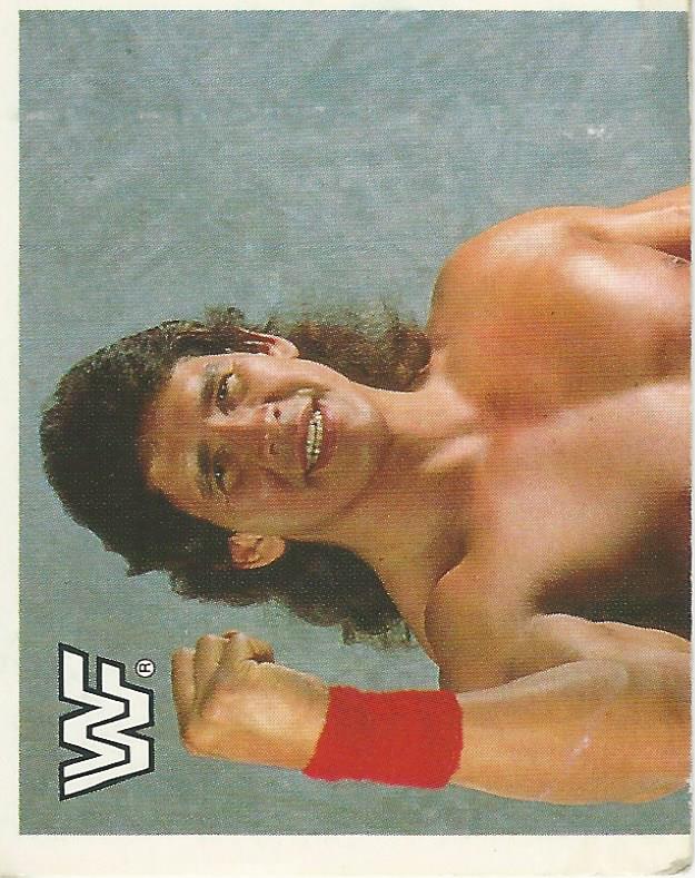 WWF Merlin Sticker Collection 1990 Tito Santana #66