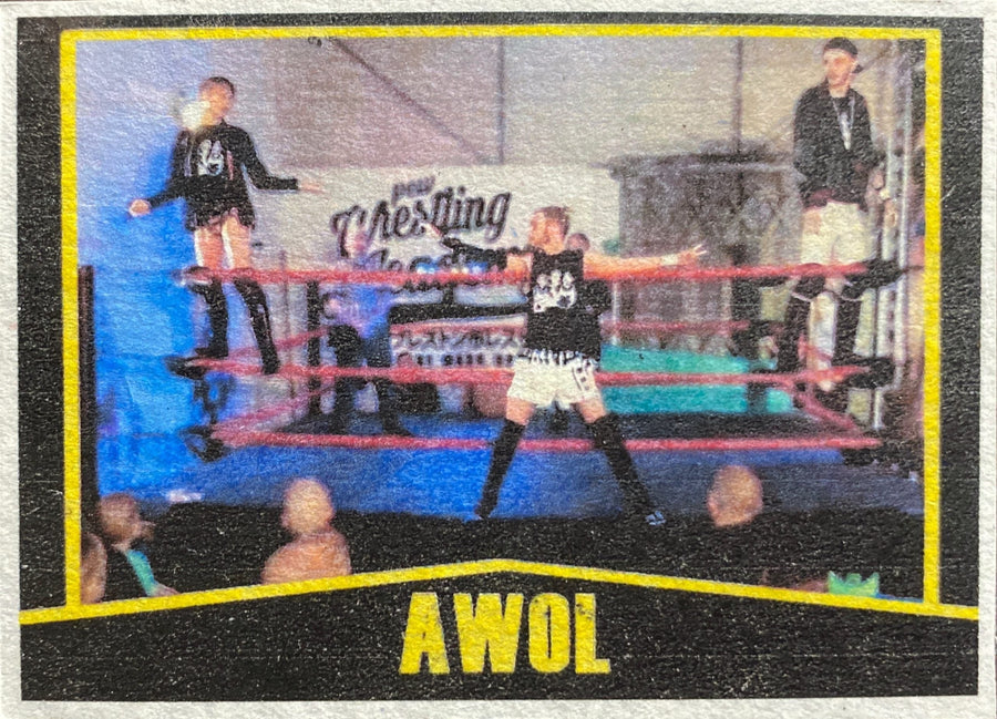PCW UK Academy – Awol