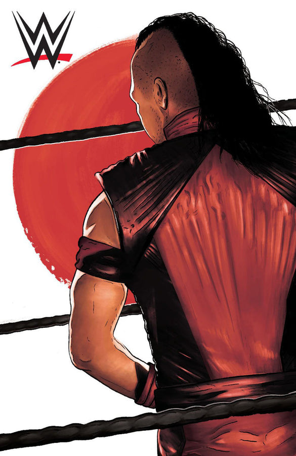 WWE Volume 25 Comic Book by Boom! Studios Cover D Magazine PWcatalog