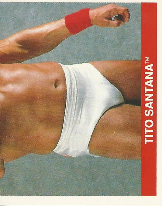 WWF Merlin Sticker Collection 1990 Tito Santana #67