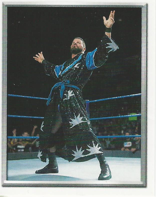 WWE Topps 2018 Stickers Robert Roode #67