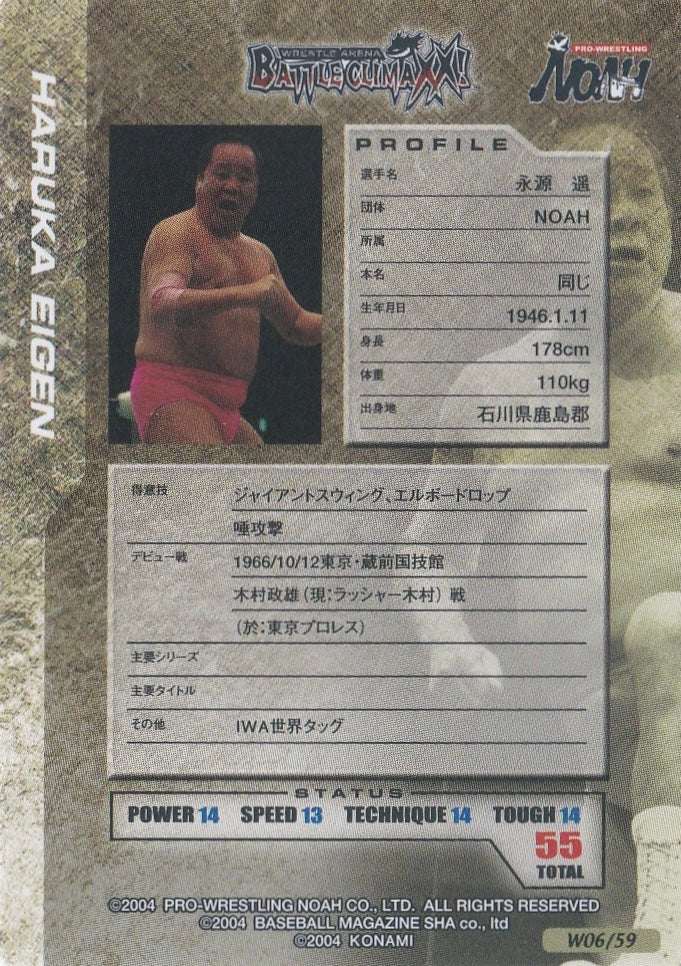 Haruka Eigen