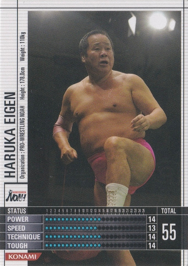 Haruka Eigen