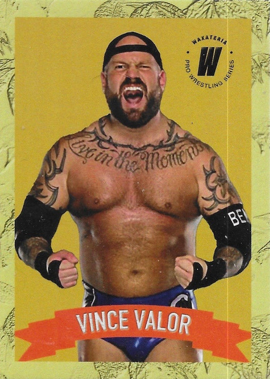 Vince Valor trading card PW Catalog