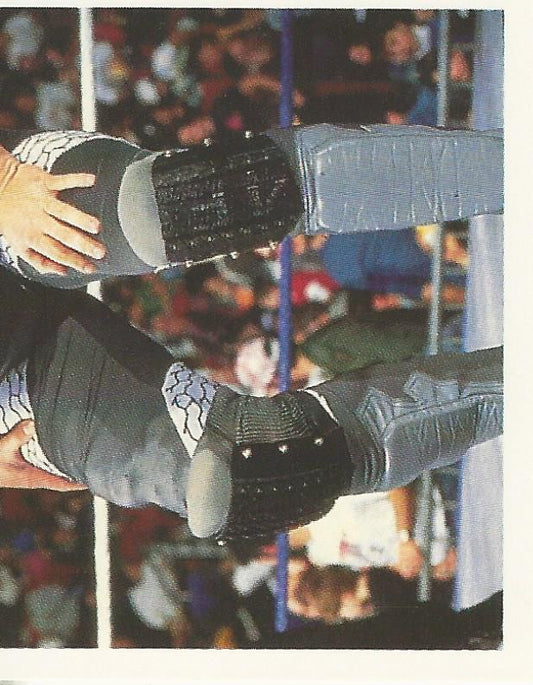 WWF Merlin Stickers 1992 Repo Man #69