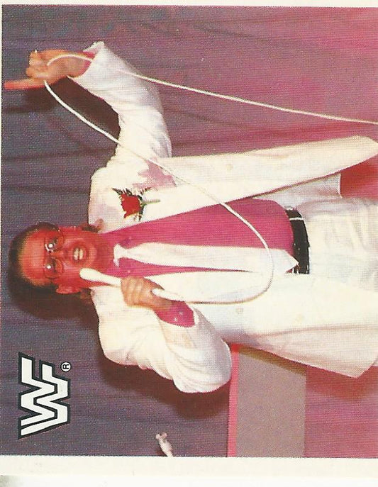 WWF Merlin Sticker Collection 1990 Brother Love #69