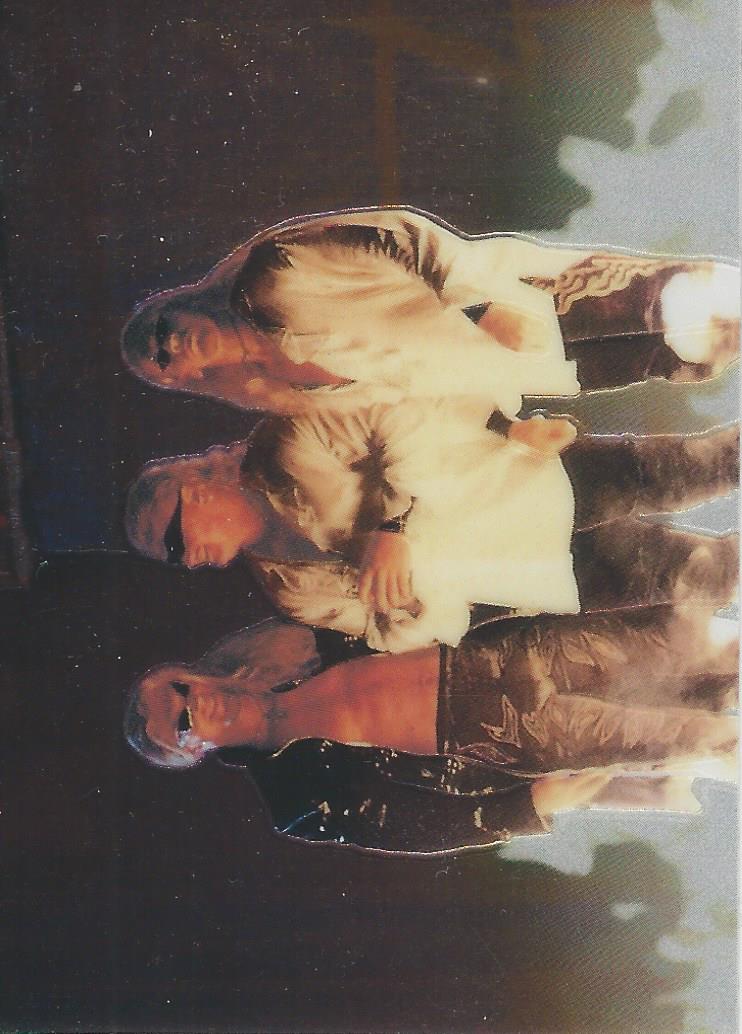 WWF Smackdown Chrome 1999 The Brood #69