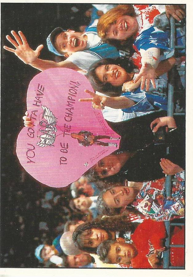 WWF Panini 1995 Sticker Collection Crowd #69