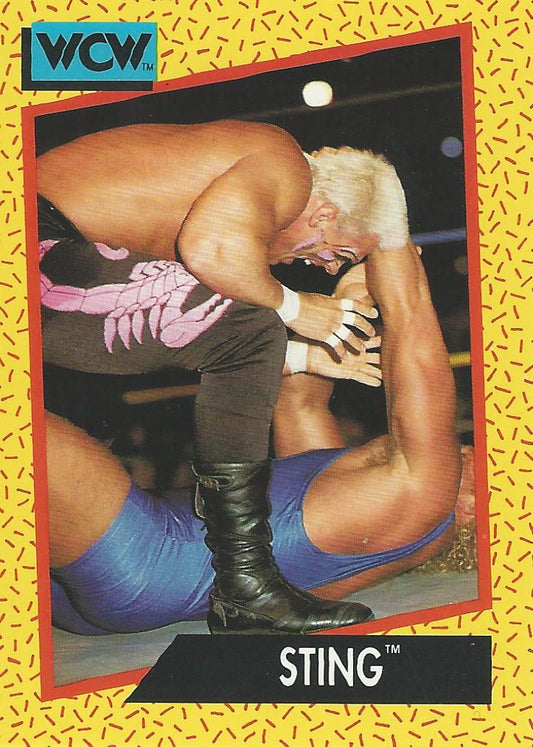 WCW Impel 1991 Sting #6