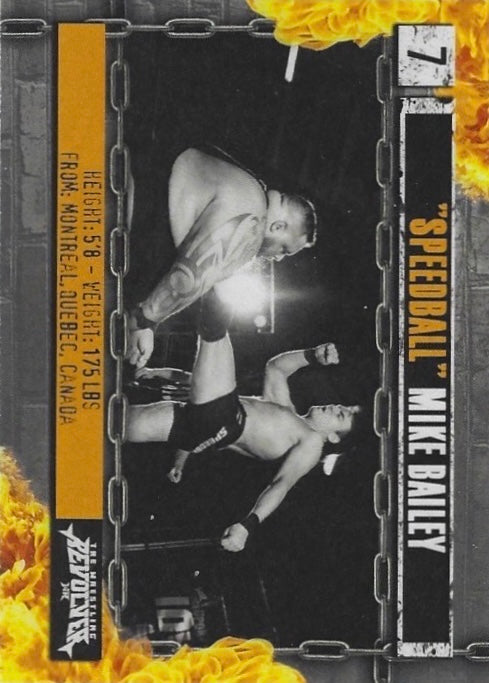 “Speedball” Mike Bailey trading card PW Catalog