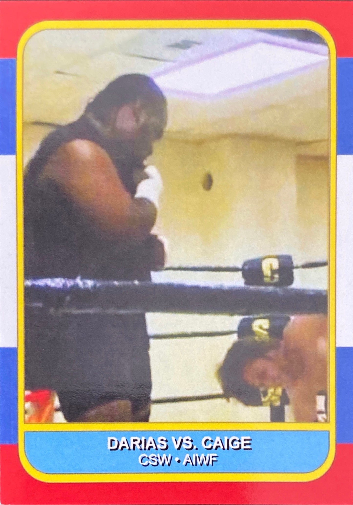 Darias vs. Caige trading card PW Catalog