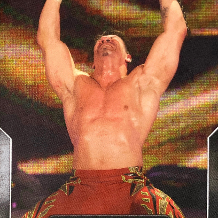 NO Way Out – February 15, 2004 Eddie Guerrero Wins the WWE Championship trading card PW Catalog