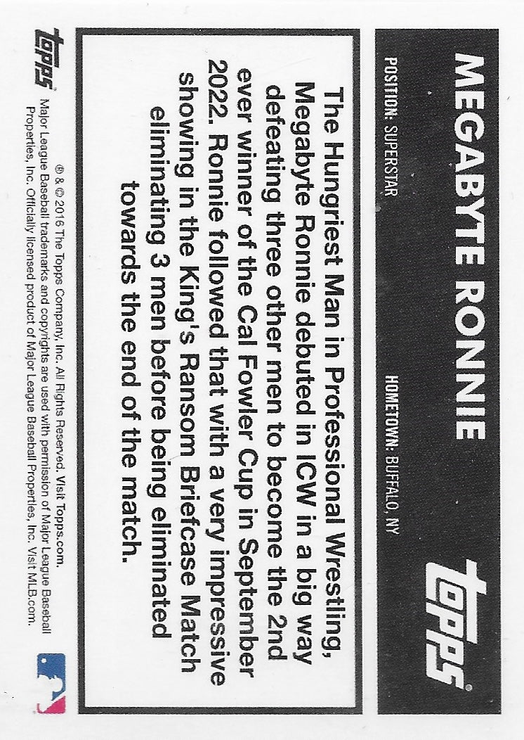 Megabyte Ronnie