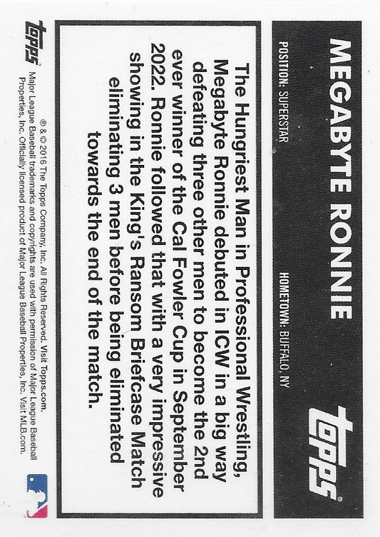 Megabyte Ronnie trading card PW Catalog