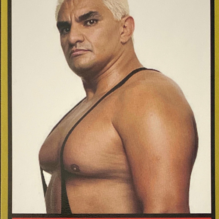 Shocker trading card PW Catalog