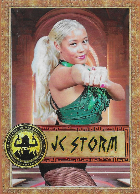 JC Storm