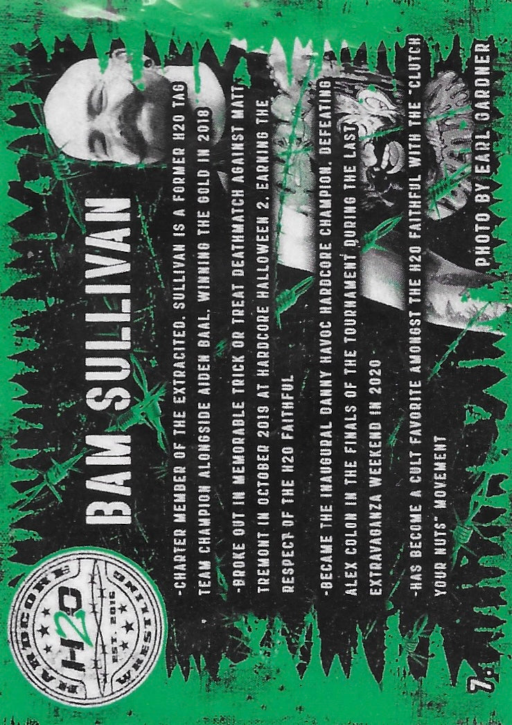 BAM Sullivan trading card PW Catalog