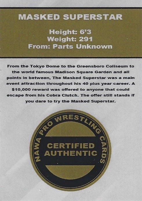 Masked Superstar (Silver Mask)